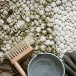 Comment nettoyer des galets blancs : brosse, eau, nettoyage naturel